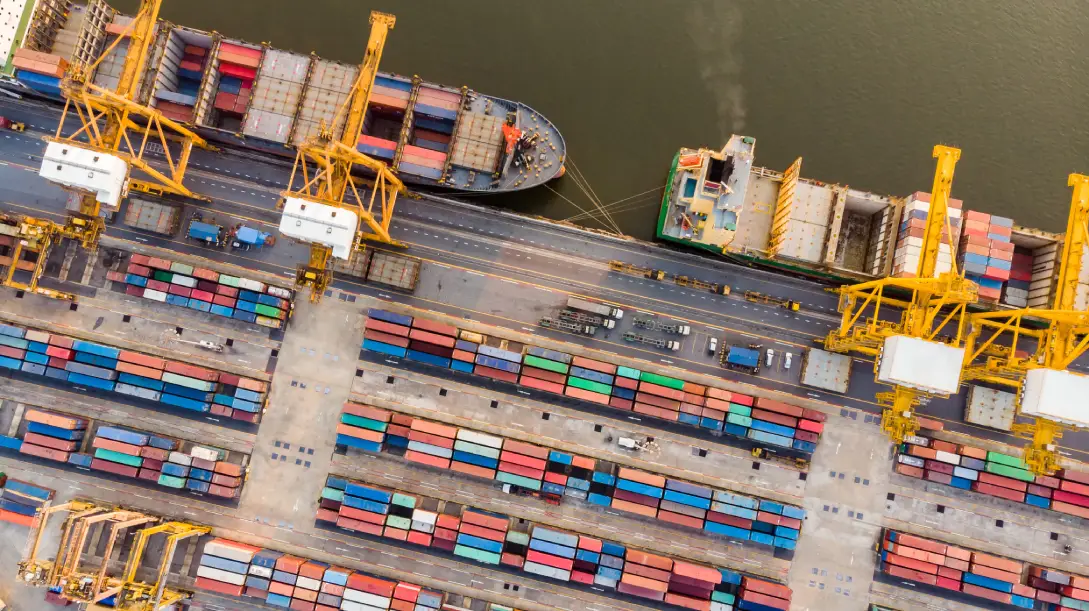 Informes ERP archivados consultables en ViewBox